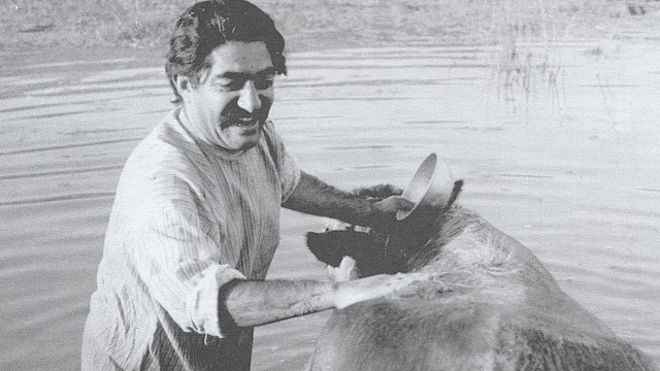 عزت الله انتظامی در فیلم گاو