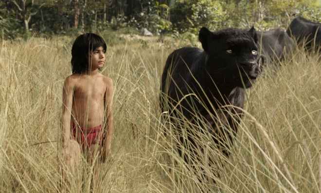 کتاب جنگل کتاب جنگل