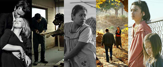 نمایندگان کشورهای مختلف برای رقابت بهترین فیلم غیرانگیسی زبان اسکار 2019 معرفی شدند